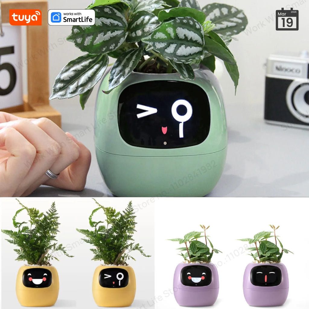 Smart AI Planter with Interactive Expressions & Self-Care Sensors
